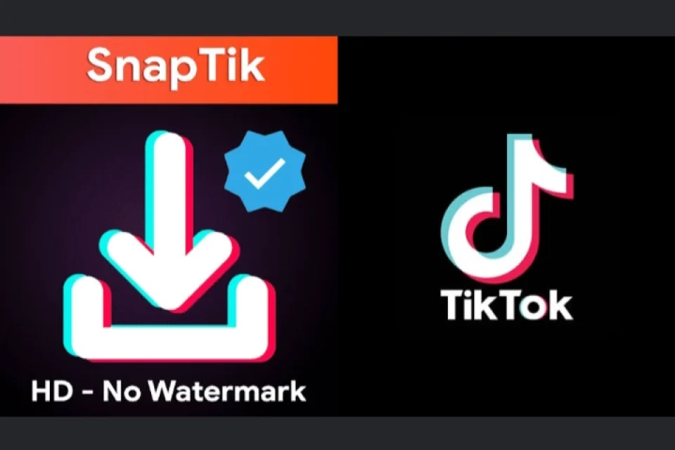Snaptik Digunakan untuk Simpan TikTok Tanpa Watermark Default